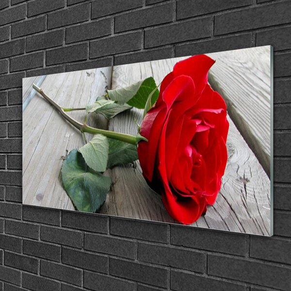 Obraz na skle Ruže kvety 100x50 cm 2 Prívesky