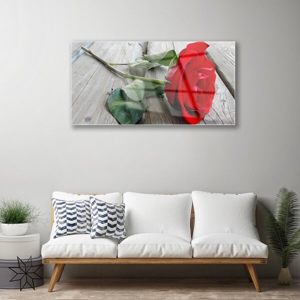 Obraz na skle Ruže kvety 100x50 cm 2 Prívesky
