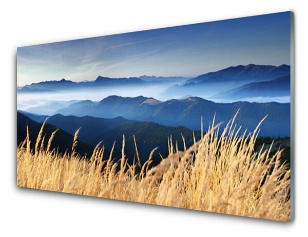 Nástenný panel  Pole príroda 125x50 cm