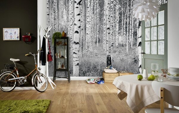 VLIESOVÁ TAPETA velikost: 368/248 cm - Online Only bytové doplnky, Online Only