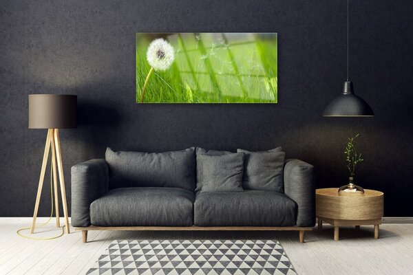 Obraz na skle Púpava tráva rastlina 100x50 cm 2 Prívesky