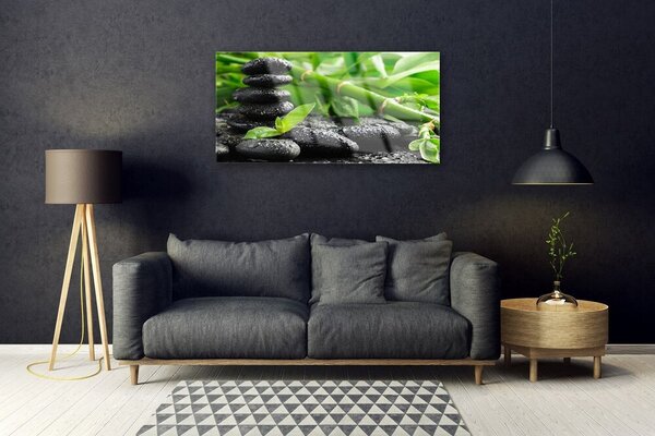Obraz na skle Bambus kamene rastlina 100x50 cm 2 Prívesky