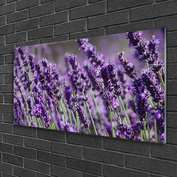 Obraz na skle Kvety rastlina príroda 100x50 cm 2 Prívesky
