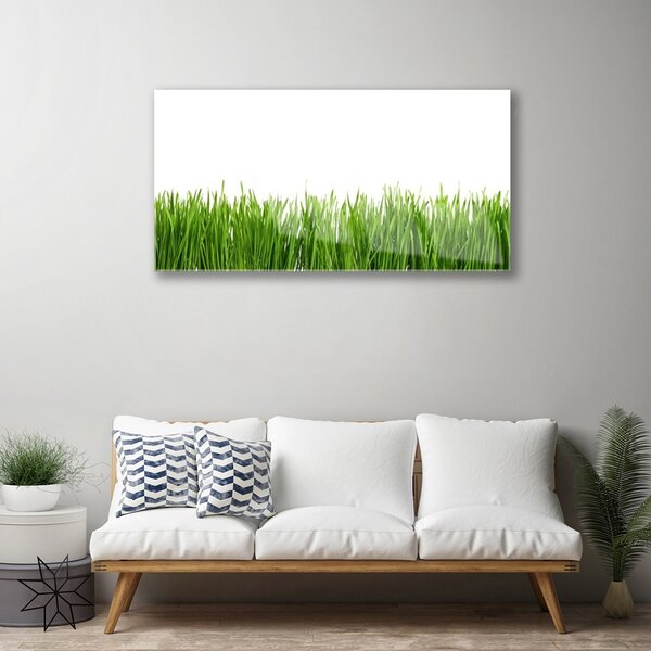 Obraz na skle Tráva príroda rastlina 100x50 cm 2 Prívesky