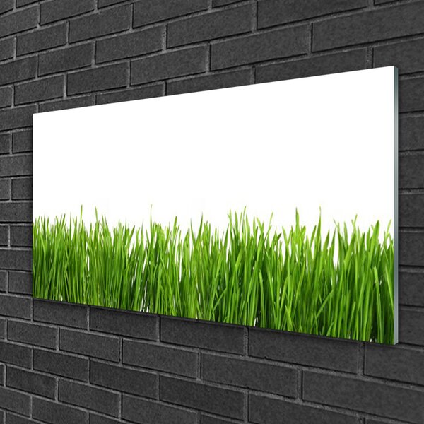 Obraz na skle Tráva príroda rastlina 100x50 cm 2 Prívesky