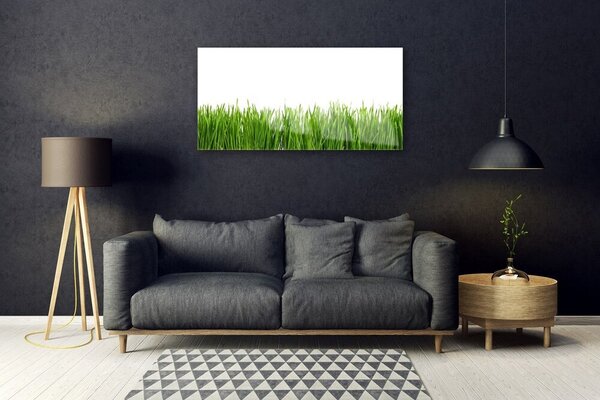 Obraz na skle Tráva príroda rastlina 100x50 cm 2 Prívesky