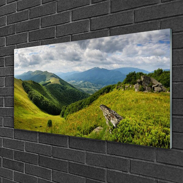 Obraz na skle Hora lúka krajina 100x50 cm 2 Prívesky
