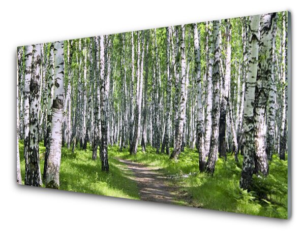 Nástenný panel  Les chodník príroda 100x50 cm
