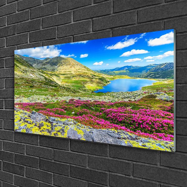 Obraz na skle Hora záliv lúka príroda 100x50 cm 2 Prívesky