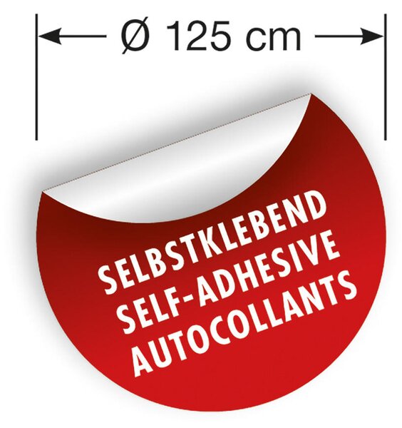 VLIESOVÁ TAPETA velikost: 125 cm Komar - Online Only bytové doplnky, Online Only