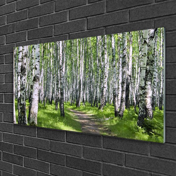 Obraz na skle Les chodník príroda 100x50 cm 2 Prívesky