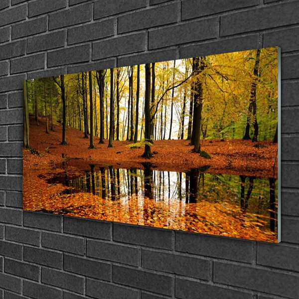 Obraz na skle Les príroda 100x50 cm 2 Prívesky