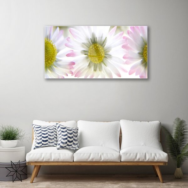 Obraz na skle Sedmokráska rastlina príroda 100x50 cm 2 Prívesky