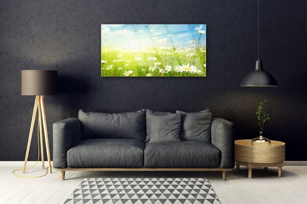 Obraz na skle Lúka sedmokrásky príroda 100x50 cm 2 Prívesky