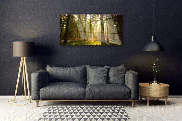 Obraz na skle Les príroda 100x50 cm 2 Prívesky
