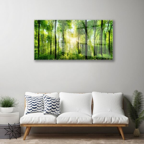 Obraz na skle Les príroda 100x50 cm 2 Prívesky