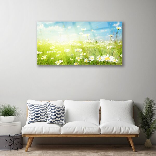 Obraz na skle Lúka sedmokrásky príroda 100x50 cm 2 Prívesky
