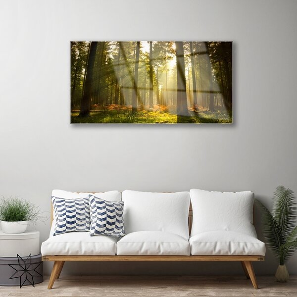 Obraz na skle Les príroda 100x50 cm 2 Prívesky