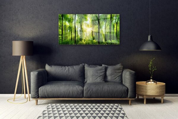 Obraz na skle Les príroda 100x50 cm 2 Prívesky
