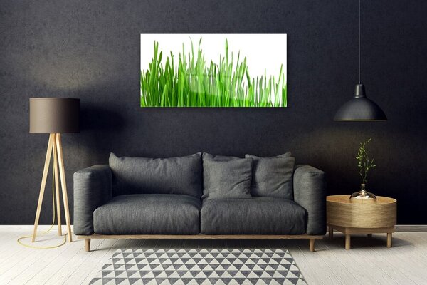 Obraz na skle Tráva rastlina príroda 100x50 cm 2 Prívesky