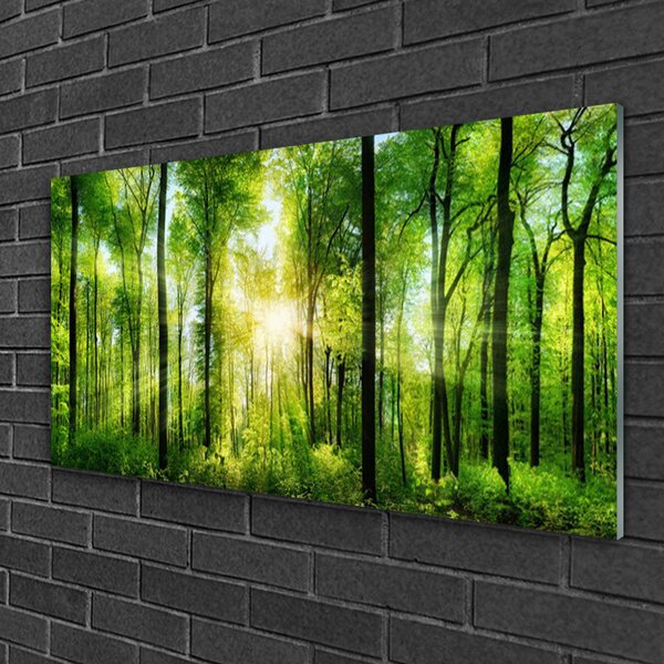 Obraz na skle Les príroda 100x50 cm 2 Prívesky