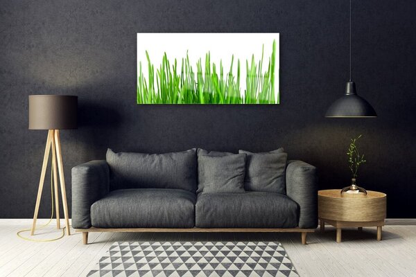 Obraz na skle Tráva rastlina príroda 100x50 cm 2 Prívesky