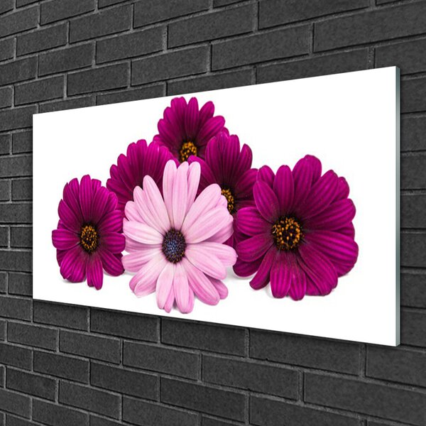 Obraz na skle Kvety rastlina príroda 100x50 cm 2 Prívesky