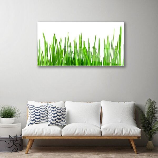 Obraz na skle Tráva rastlina príroda 100x50 cm 2 Prívesky