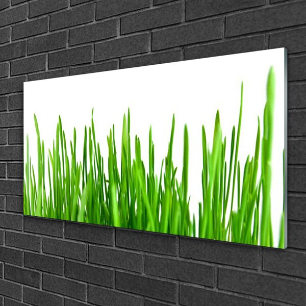 Obraz na skle Tráva rastlina príroda 100x50 cm 2 Prívesky