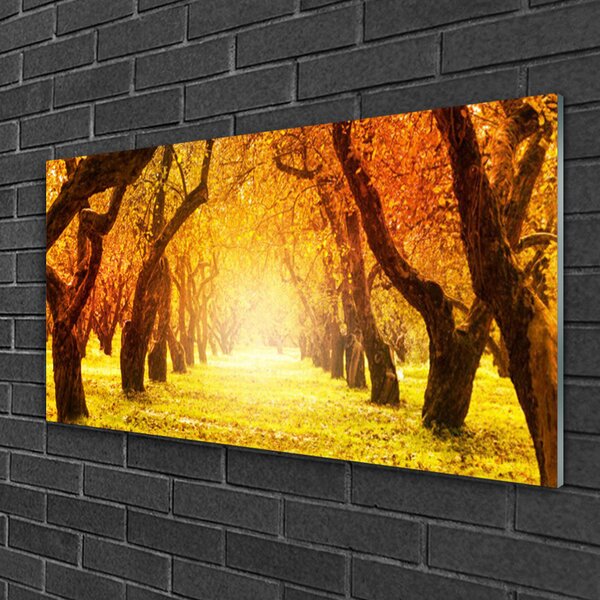 Skleneny obraz Les chodník stromy príroda 100x50 cm 2 Prívesky