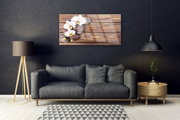 Obraz na skle Kvet kamene rastlina 100x50 cm 2 Prívesky