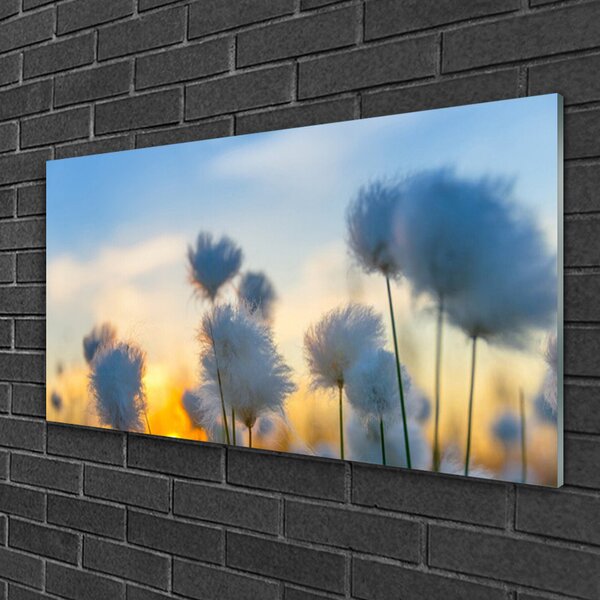 Obraz plexi Kvety rastlina príroda 100x50 cm 2 Prívesky