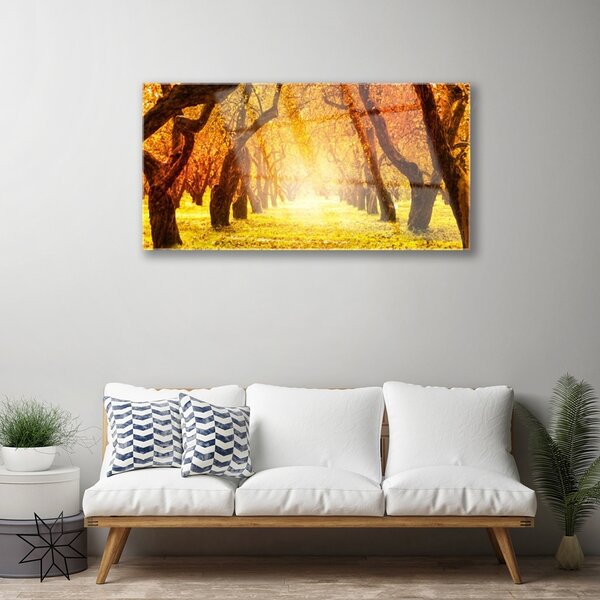 Skleneny obraz Les chodník stromy príroda 100x50 cm 2 Prívesky