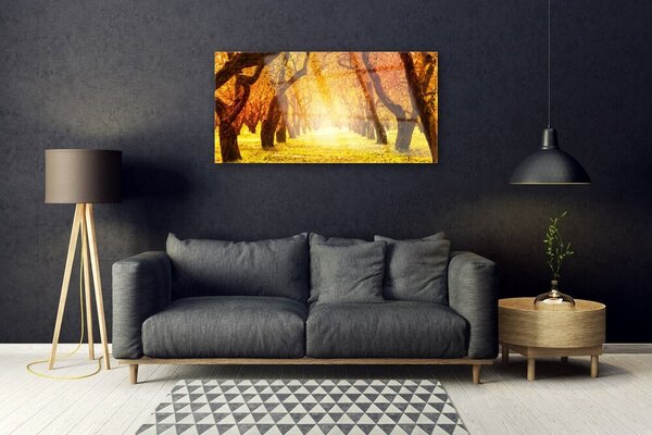 Skleneny obraz Les chodník stromy príroda 100x50 cm 2 Prívesky