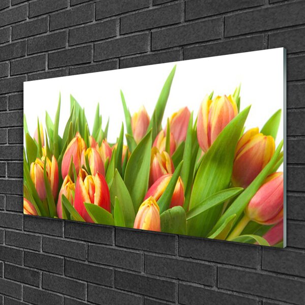 Skleneny obraz Tulipány kvety rastlina 100x50 cm 2 Prívesky