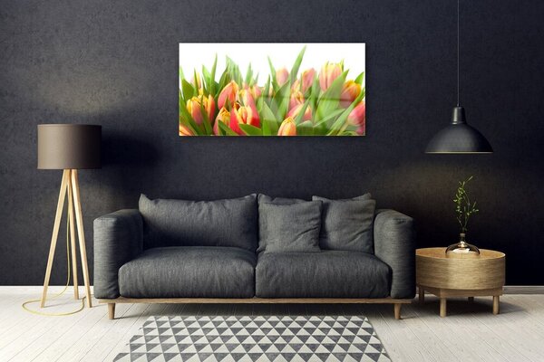 Skleneny obraz Tulipány kvety rastlina 100x50 cm 2 Prívesky