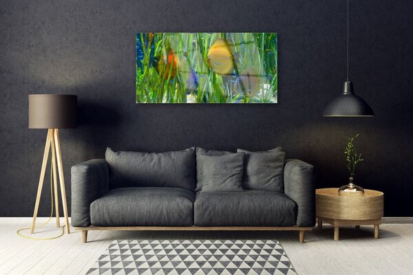 Skleneny obraz Ryba riasy príroda 100x50 cm 2 Prívesky