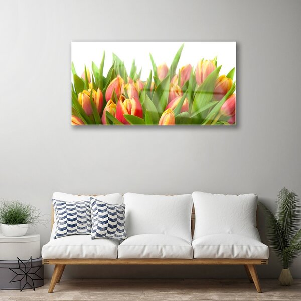 Skleneny obraz Tulipány kvety rastlina 100x50 cm 2 Prívesky