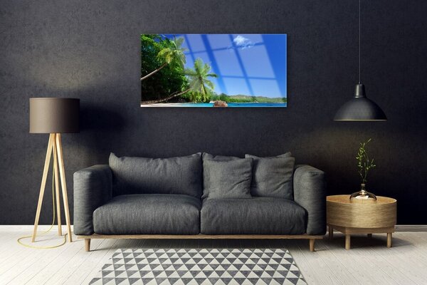 Skleneny obraz Palma stromy pláž krajina 100x50 cm 2 Prívesky