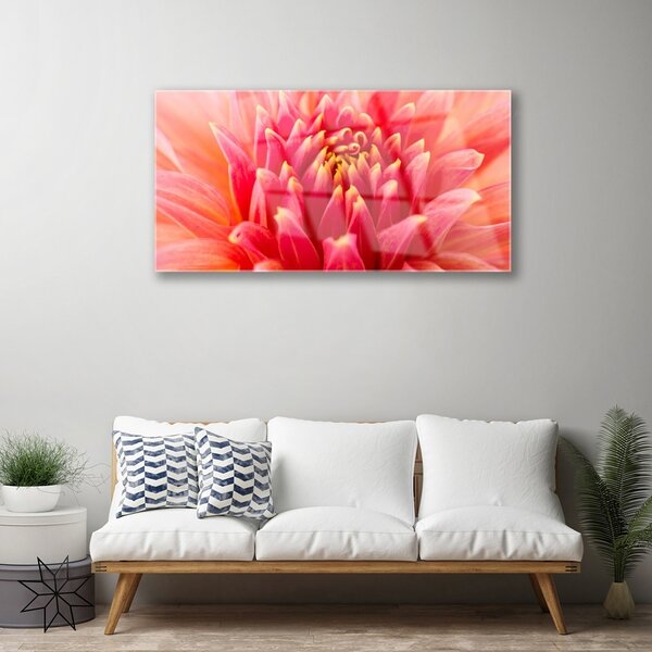 Skleneny obraz Kvet rastlina príroda 100x50 cm 2 Prívesky