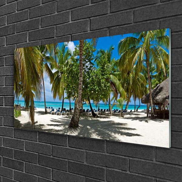 Skleneny obraz Pláž palma stromy príroda 100x50 cm 2 Prívesky