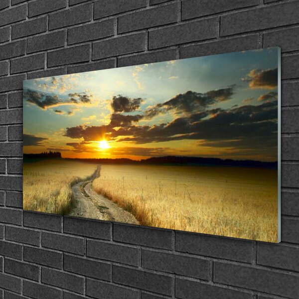 Skleneny obraz Cestička pole príroda 100x50 cm 2 Prívesky