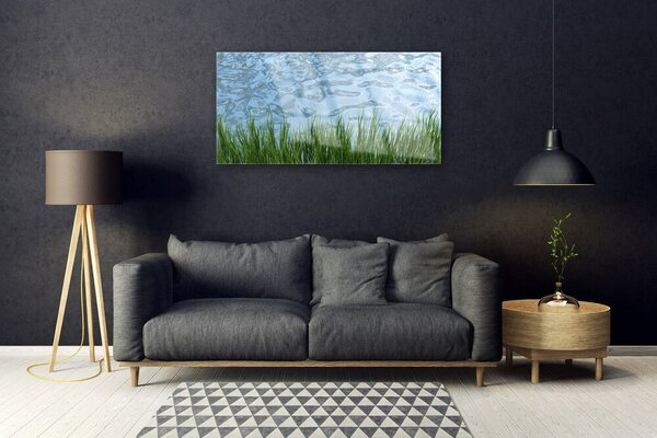 Skleneny obraz Tráva voda príroda 100x50 cm 2 Prívesky