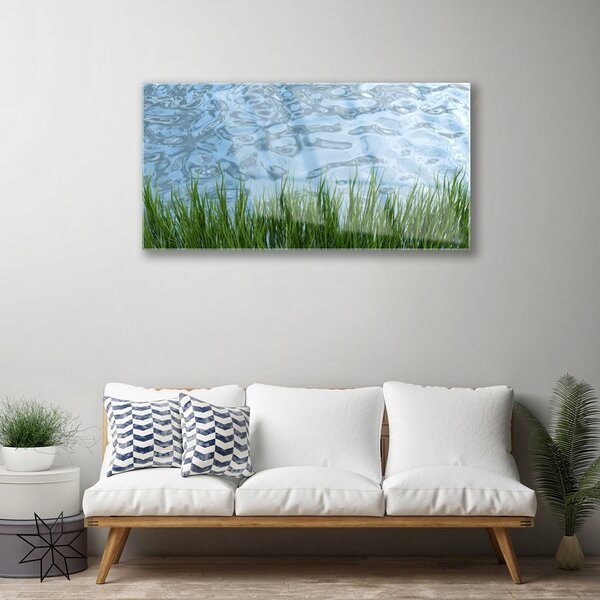 Skleneny obraz Tráva voda príroda 100x50 cm 2 Prívesky