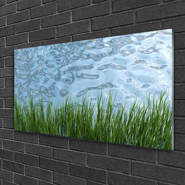 Skleneny obraz Tráva voda príroda 100x50 cm 2 Prívesky