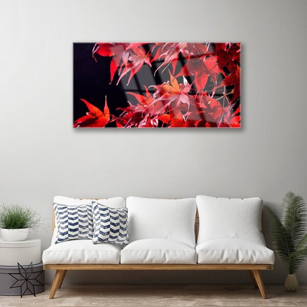 Skleneny obraz Listy príroda rastlina 100x50 cm 2 Prívesky