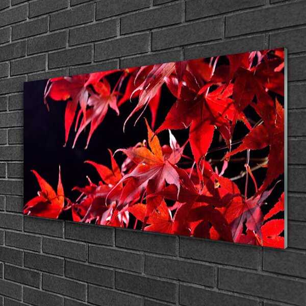 Skleneny obraz Listy príroda rastlina 100x50 cm 2 Prívesky