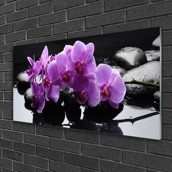 Skleneny obraz Kvet kamene rastlina 100x50 cm 2 Prívesky