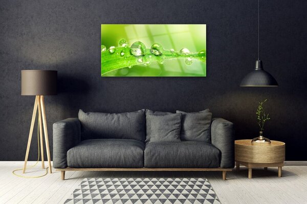 Skleneny obraz List kvapky rosa rastlina 100x50 cm 2 Prívesky