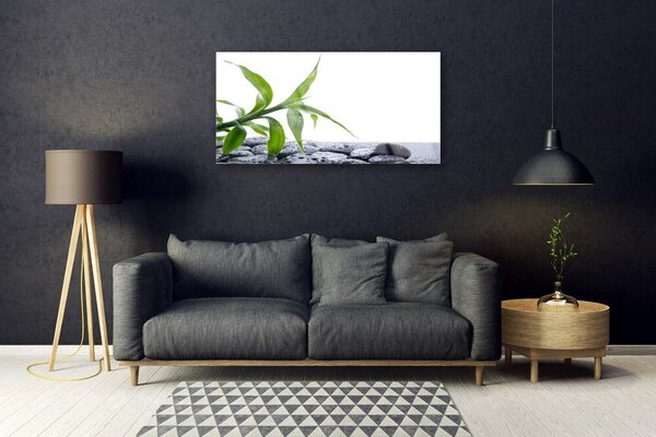 Skleneny obraz List príroda kamene rastlina 100x50 cm 2 Prívesky
